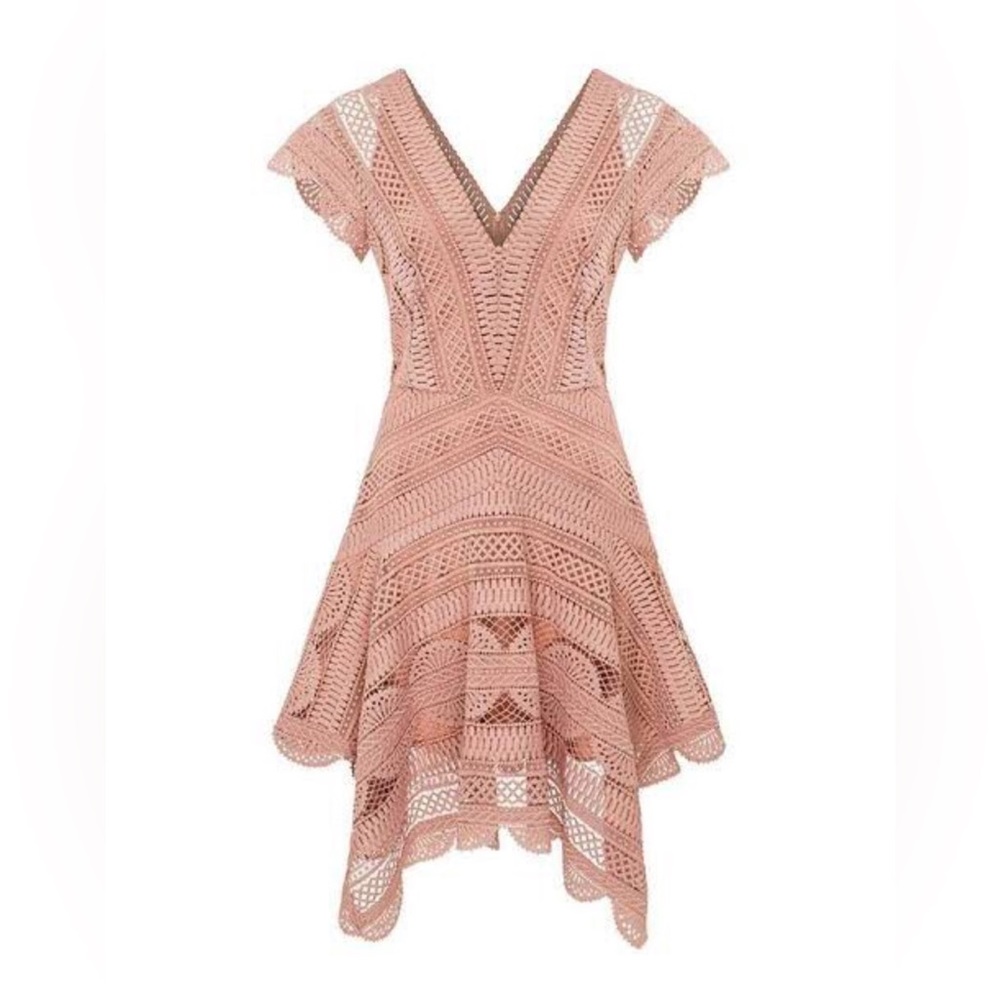 Lover Ode Lace Mini dress